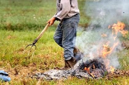 Combustione residui vegetali provenienti da attività agricola Combustione residui vegetali provenienti da attività agricola