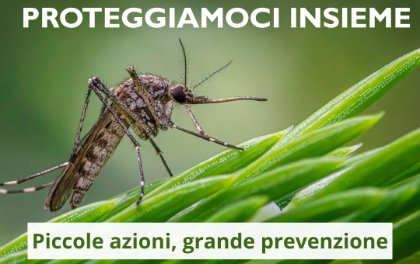 Campagna 
