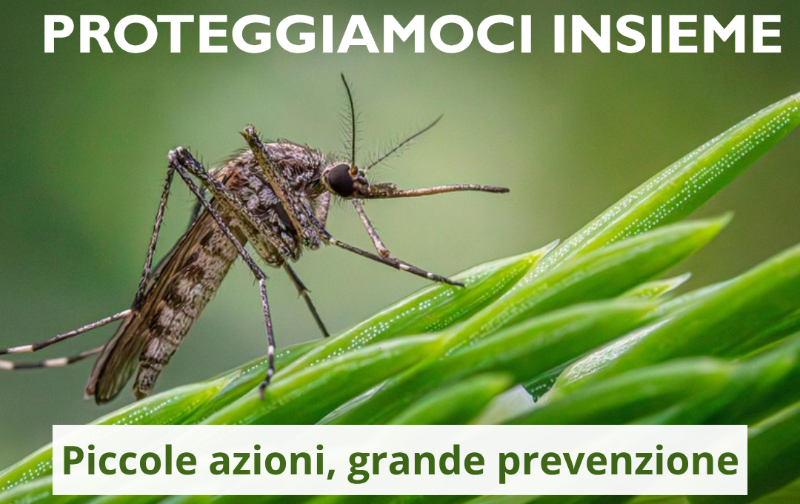 Proteggiamoci insieme zanzara West Nile