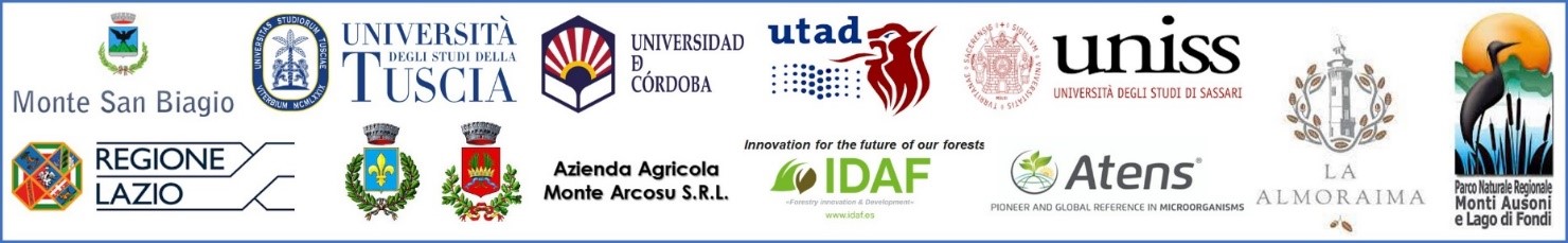 Loghi Partners